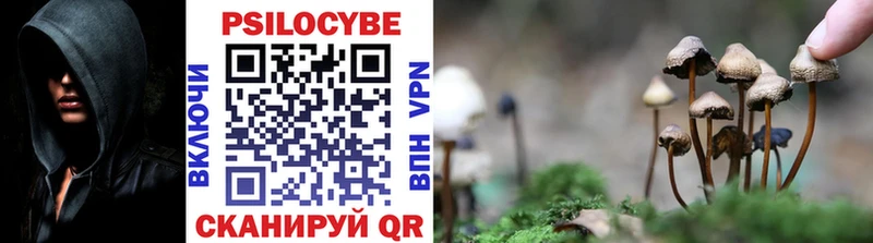 Псилоцибиновые грибы Cubensis  Солигалич 